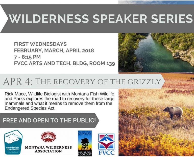 April Wilderness Speaker Series Presentation Addresses Grizzly Bear Recovery North Fork 