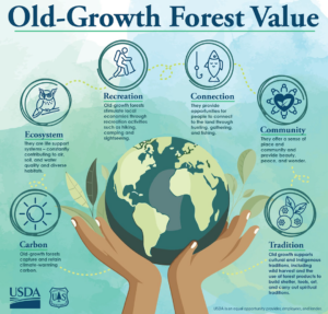 Old-Growth Forest Value graphic